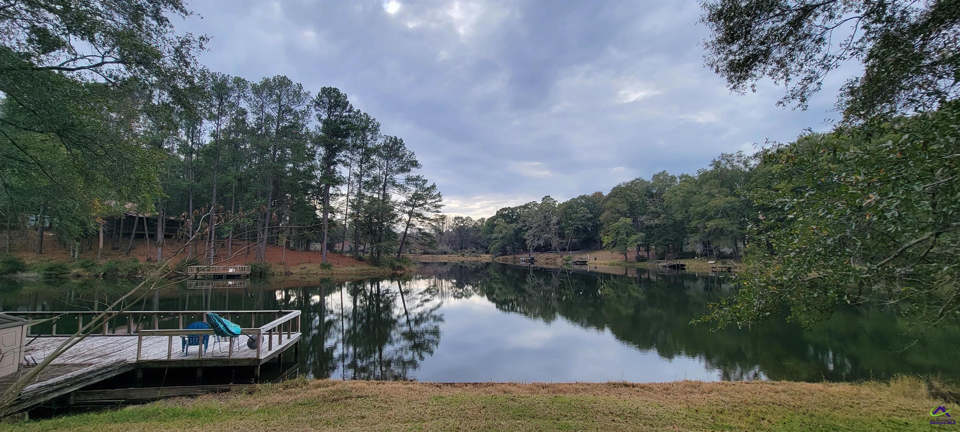 15 Old Spring Lake Dr, Hawkinsville, GA 31036 MLS 227375 Coldwell