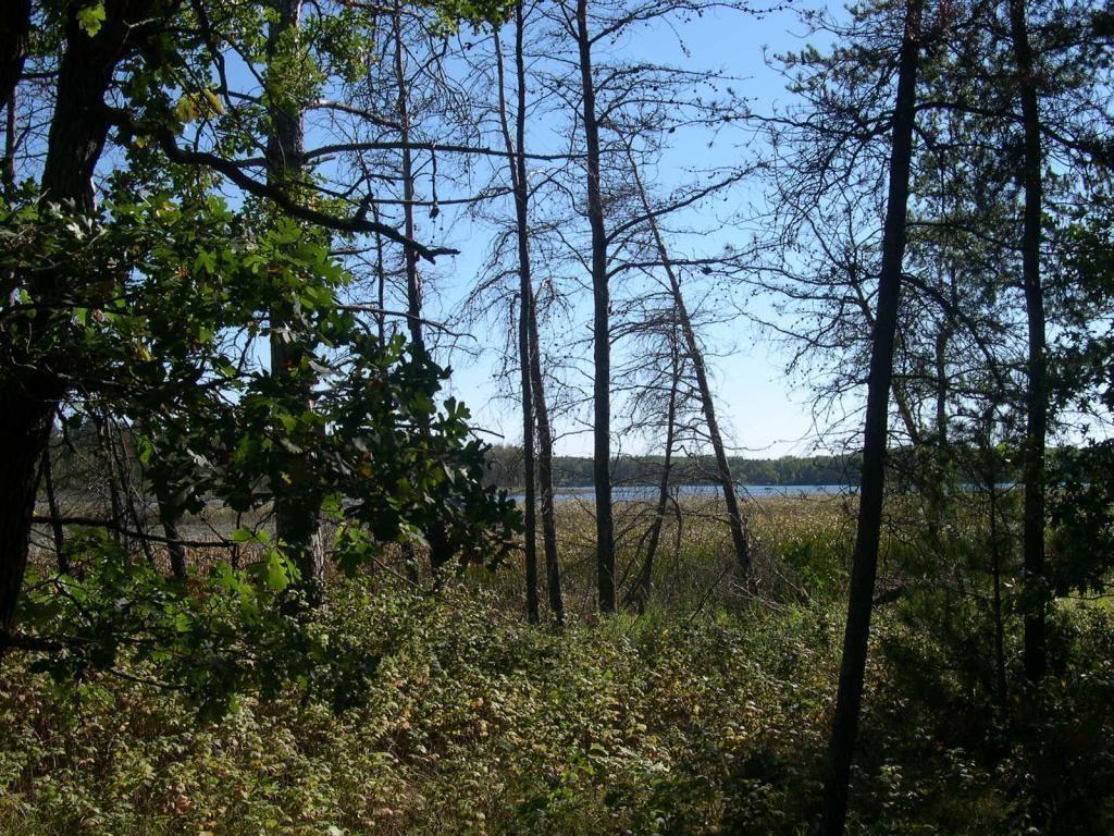 21790 Great Deer Dr, Nevis, MN 56467 MLS 6023533 Coldwell Banker