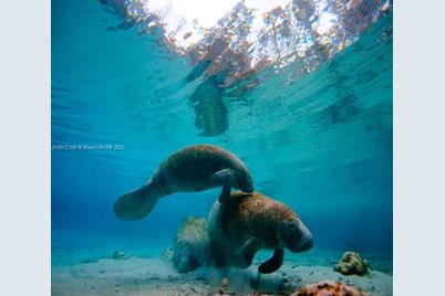 322 Baytree Dr, Port Charlotte, FL 33981 - Photo 9