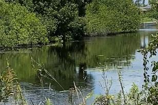 2 NW 13th Pl, Cape Coral, FL 33993 - Photo 1