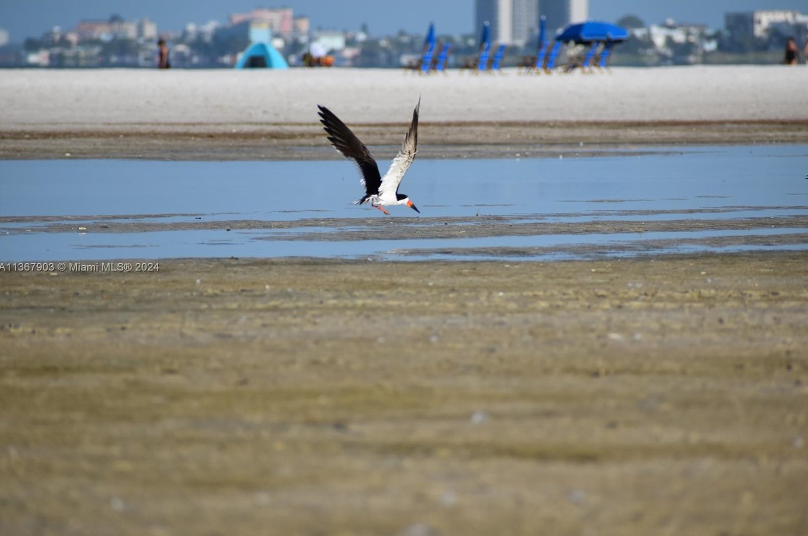 32 Fairview Blvd, Fort Myers Beach FL  33931-4565 exterior