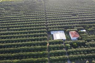 33300 SW 202nd Ave, Homestead, FL 33034 - Photo 3