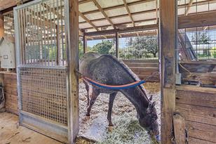 14490 Stirling Rd, Southwest Ranches, FL 33330 - Photo 25