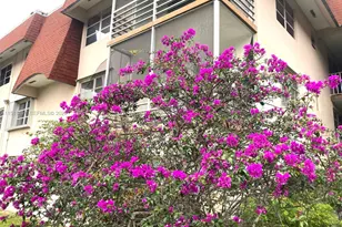 2901 NW 47th Terrace, Lauderdale Lakes, FL 33313 - Photo 47