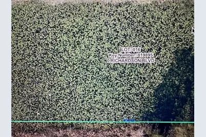 0 Richardson Blvd, Other City - In The State Of Florida, FL 33597 - Photo 7
