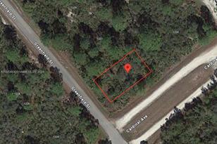 1225 Greenfield St, Lake Placid, FL 33852 - Photo 1
