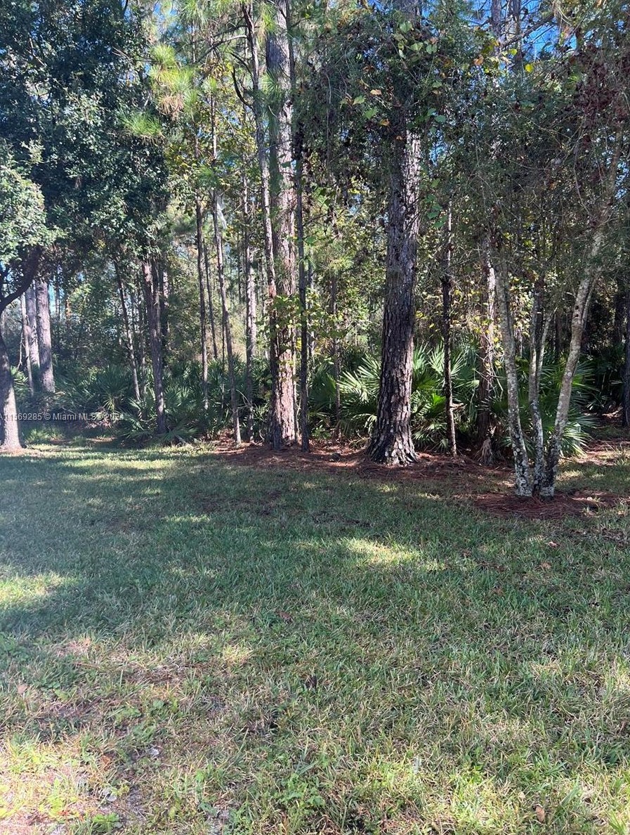 8524 Tower Fls Dr, Jacksonville FL 32244-7901 exterior