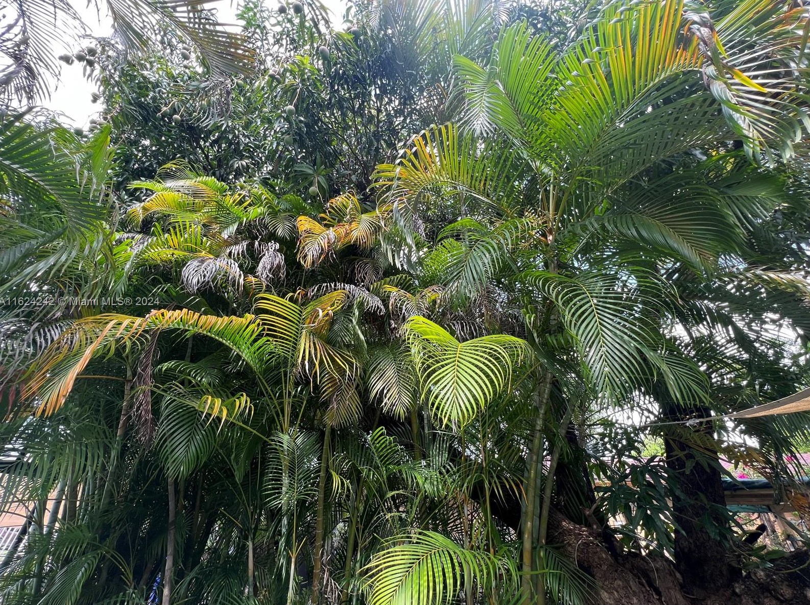 3044 15 St, Miami FL 33125-1924 exterior