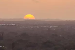 9066 SW 73rd Ct, Miami, FL 33156 - Photo 11