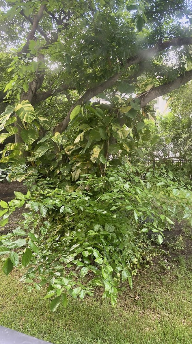 17021 Bay Rd, Miami FL 33160-3684 exterior