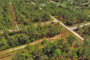 158 Nagel Ave S, Lehigh Acres, FL 33974 - Photo 11