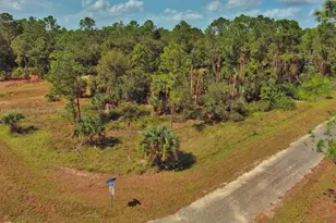 158 Nagel Ave S, Lehigh Acres, FL 33974 - Photo 3