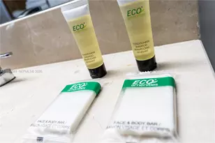 1750 N Bayshore Dr, Miami, FL 33132 - Photo 3