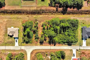 844 Carbon St E, Lehigh Acres, FL 33974 - Photo 3