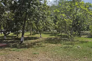 15700 SW 202nd Ave, Miami, FL 33187 - Photo 17