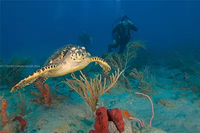 772 McDill Dr, Port Charlotte, FL 33953 - Photo 17