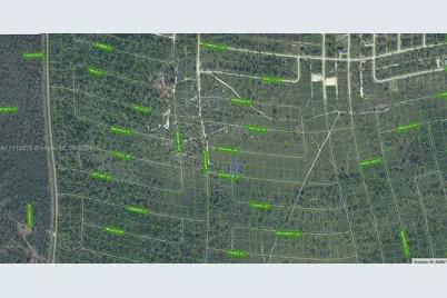 8136 Veronese Street, Sebring, FL 33872 - Photo 3