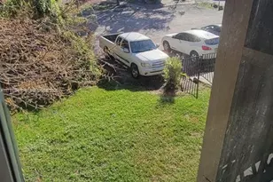 13285 Arbor Pointe Cir, Tampa, FL 33617 - Photo 43