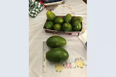 3740 W 5th Ct, Hialeah, FL 33012 - Photo 15