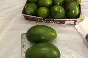 3740 W 5th Ct, Hialeah, FL 33012 - Photo 15