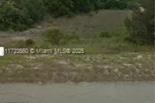 212 Impatiens St, Lake Placid, FL 33852 - Photo 1