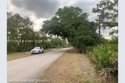 615 Wildflower Street, Lake Placid, FL 33852 - Photo 5