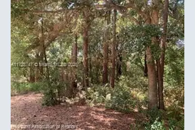 2326 W Barben Road, Avon Park, FL 33825 - Photo 27