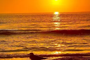 1318 Bayport Ave, Marco Island, FL 34145 - Photo 29