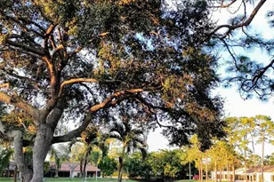 442 Pine Glen Ln, Greenacres, FL 33463 - Photo 43