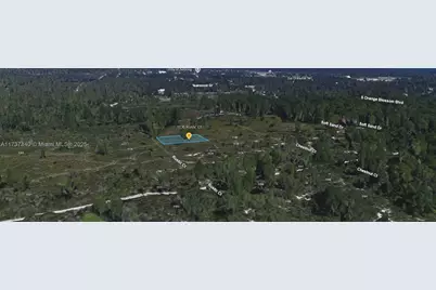 1136 Rustic Court, Sebring, FL 33852 - Photo 3