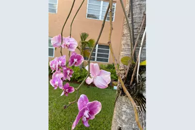 3050 E Sunrise Lakes Dr #324, Sunrise, FL 33322 - Photo 23