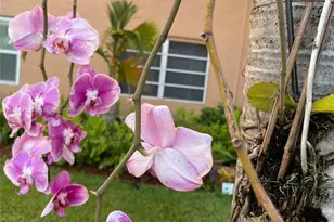 3050 E Sunrise Lakes Dr, Sunrise, FL 33322 - Photo 23