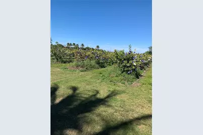 0 Tbd, Homestead, FL 33030 - Photo 7