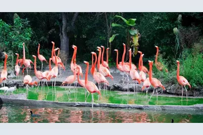 221 NW 12th Ct, Florida City, FL 33034 - Photo 39