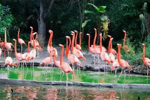 221 NW 12th Ct, Florida City, FL 33034 - Photo 39