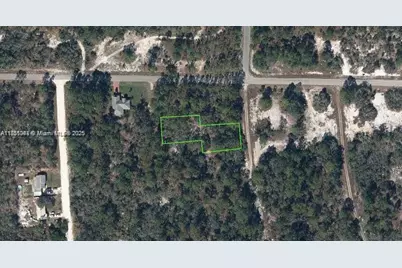 405 Blue Horizon, Lake Placid, FL 33852 - Photo 1
