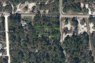 405 Blue Horizon, Lake Placid, FL 33852 - Photo 1