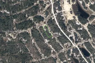 342 Gloaming Dr, Lake Placid, FL 33852 - Photo 1