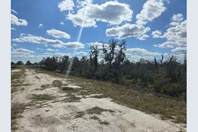 2245 W Yarbrough Rd, Avon Park, FL 33825 - Photo 5