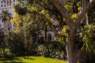 213 Florida Ave, Coral Gables, FL 33133 - Photo 19