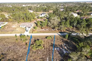 1038 Bassinger, Lehigh Acres, FL 33974 - Photo 3