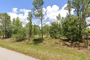 941 Garnet Ave, Lehigh Acres, FL 33974 - Photo 1