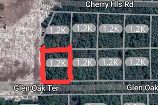 2948 Glen Oak Ter, Sebring, FL 33875 - Photo 1