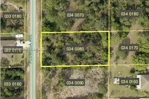 1408 Plumosa Ave, Lehigh Acres, FL 33972 - Photo 1