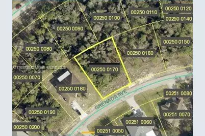 806 Grenada Ave, Lehigh Acres, FL 33974 - Photo 1