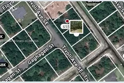 2787 Tivoli Ave SE, Palm Bay, FL 32909 - Photo 5