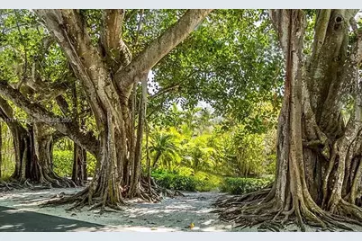 12167 Alumna Ave, Port Charlotte, FL 33981 - Photo 11