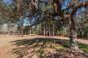 6850 SE 143rd Ct, Other City - In The State Of Florida, FL 32668 - Photo 39