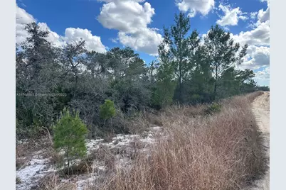 123 Dartmoor Ave, Lake Placid, FL 33852 - Photo 3