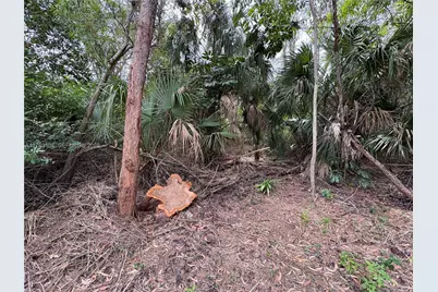 30Xx Forest Hills Dr, Coral Springs, FL 33065 - Photo 7